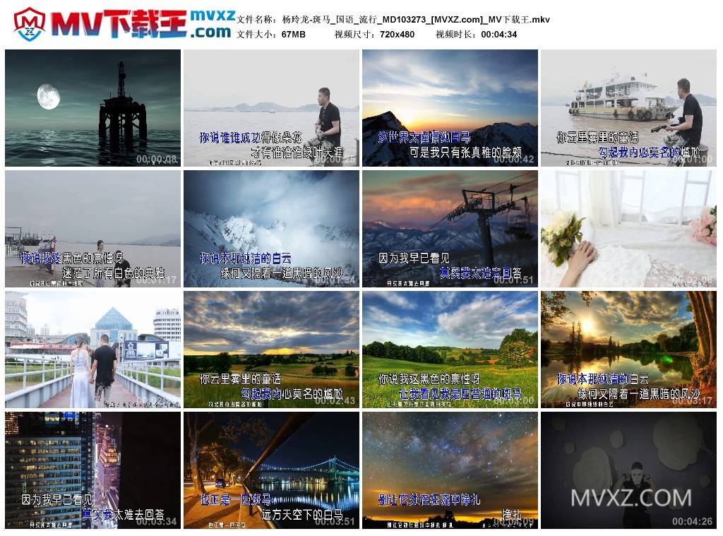 杨玲龙-斑马_国语_流行_MD103273